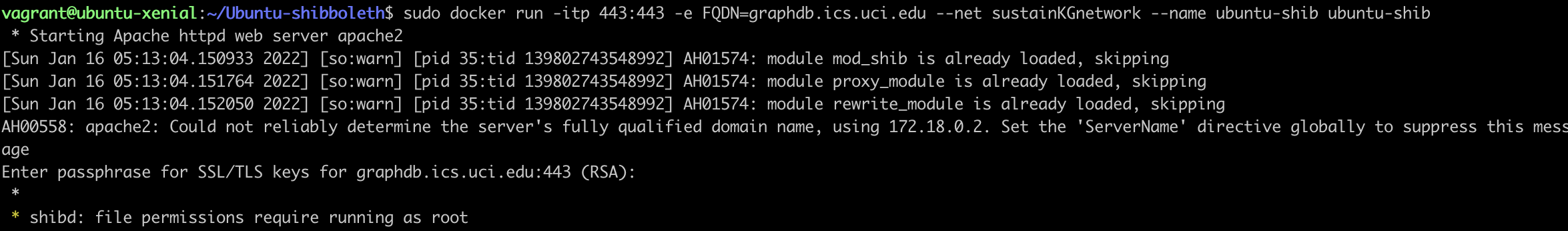 docker run